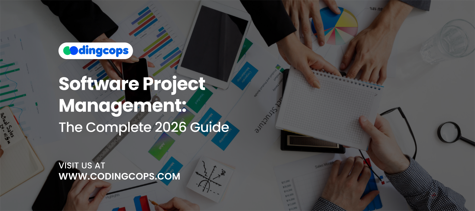 Software Project Management: