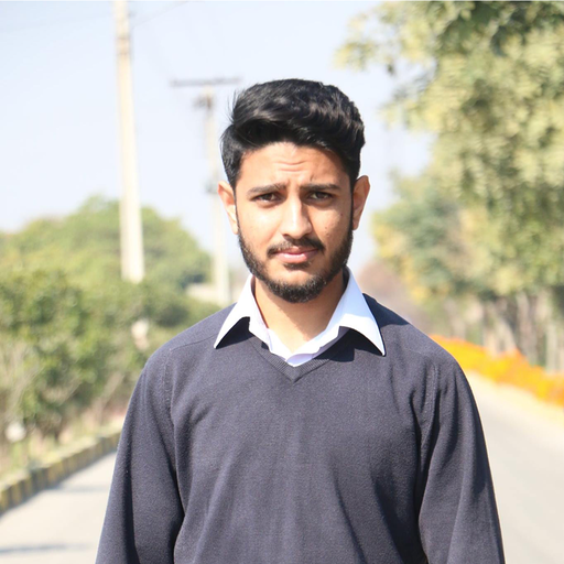 Mohsin Ali, Associate Project Manager
